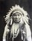 Chief Joseph Nez Perce 1903 Poster Print by Edward S. Curtis - Item # VARPDX264767